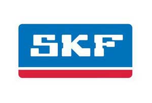 ���˹�P��